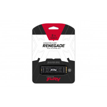 Kingston Technology 2000G FURY RENEGADE M.2 2280 NVMe SSD